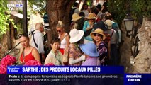 Alpes-Maritimes: comment le village d'Èze envisage de réguler le flux de touristes