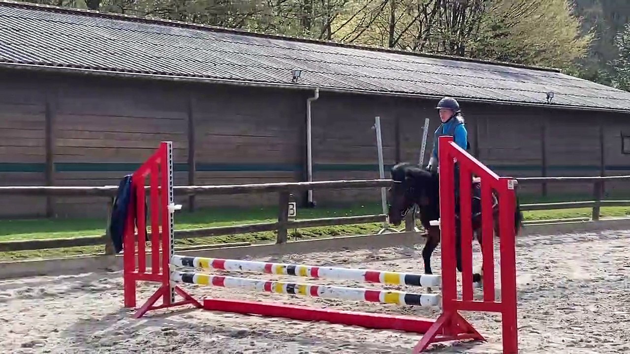 Katxi du bois bourdin 3e seance