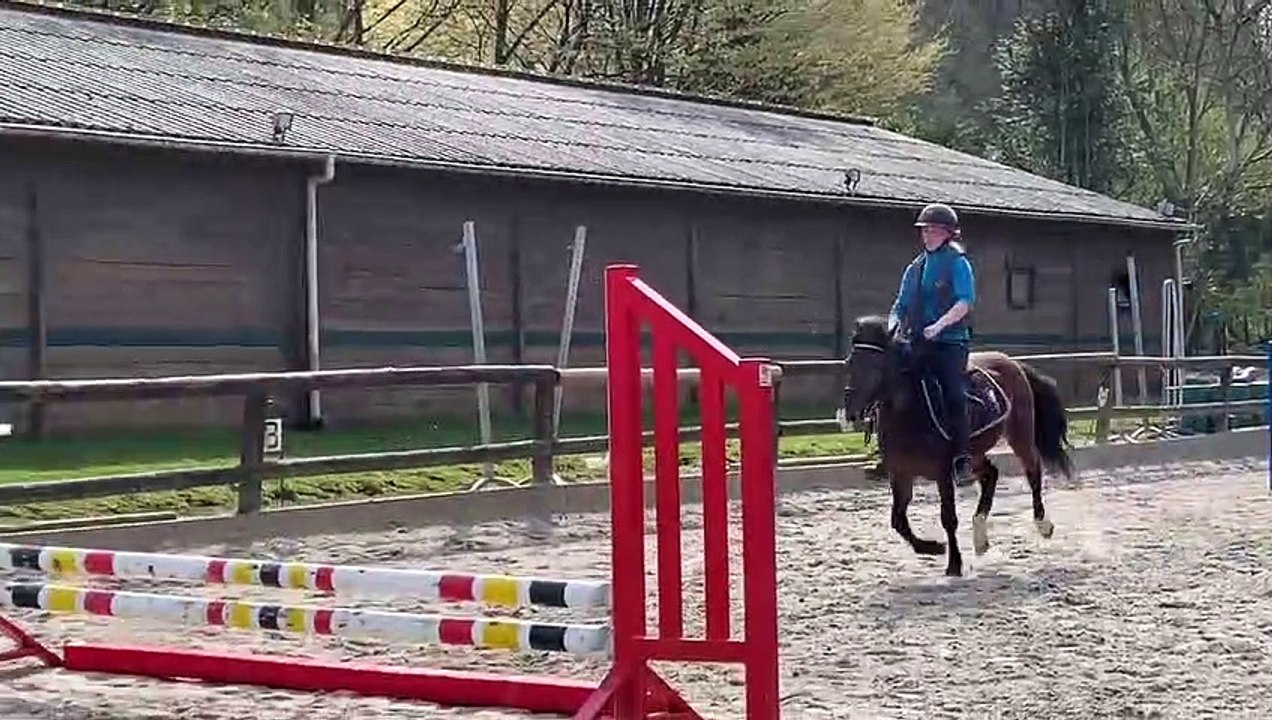 Katxi du bois bourdin 3e seance