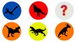 Dinosaurs Jurassic World Dominion:The Flash,Velociraptor,Stegosaurus,Pyroraptor,Animal Battle #126