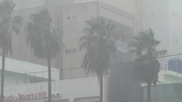 제주도 장마 25일쯤 시작...예년보다 6일 늦어 / YTN