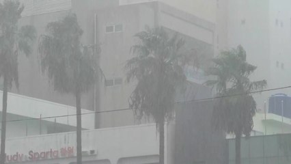 제주도 장마 25일쯤 시작...예년보다 6일 늦어 / YTN