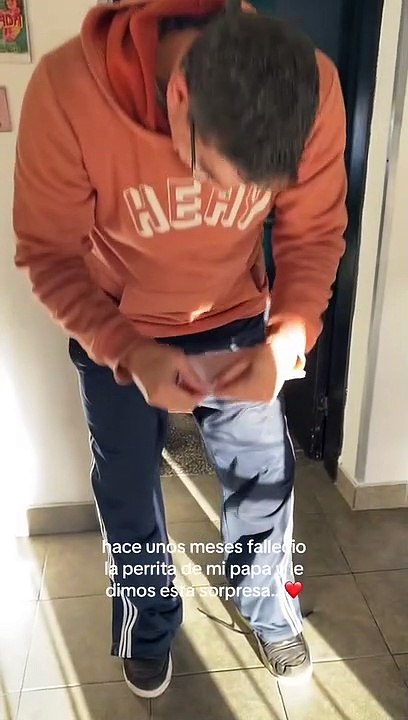 ¡Enternecedor! Hombre se conmueve al recibir una perrita como regalo