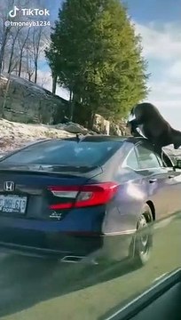 What are we standing for, whom are we waiting for