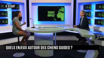SMART IMPACT - Emission du mardi 20 juin