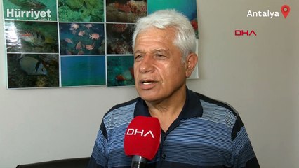 Nesli tükenmekte olan vatoz oltaya takıldı