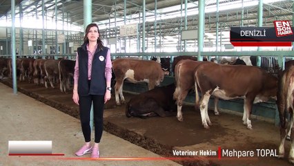 Kurbanlıklar cebe girdi