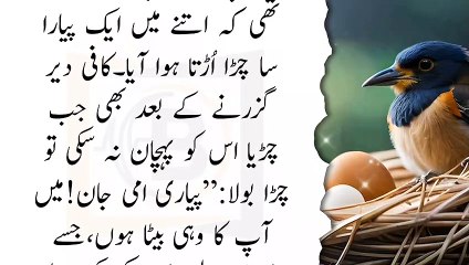 Chirya or chiray ki dard bhri sabaq amoz story | چڑیا اور چڑا | sparrow couple sad moral story #117 @BakaliVoice