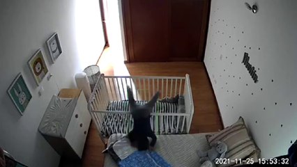 Smart toddler breaks out of his crib - without leaving a trace