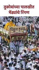 तुकोबांच्या पालखीत मेंढ्यांचे  रिंगण #palkhisohala2023 #ringansohla #shorts KA5