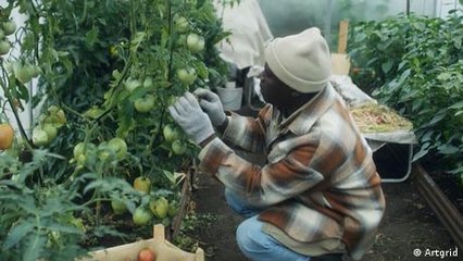 Five common myths about migration — busted