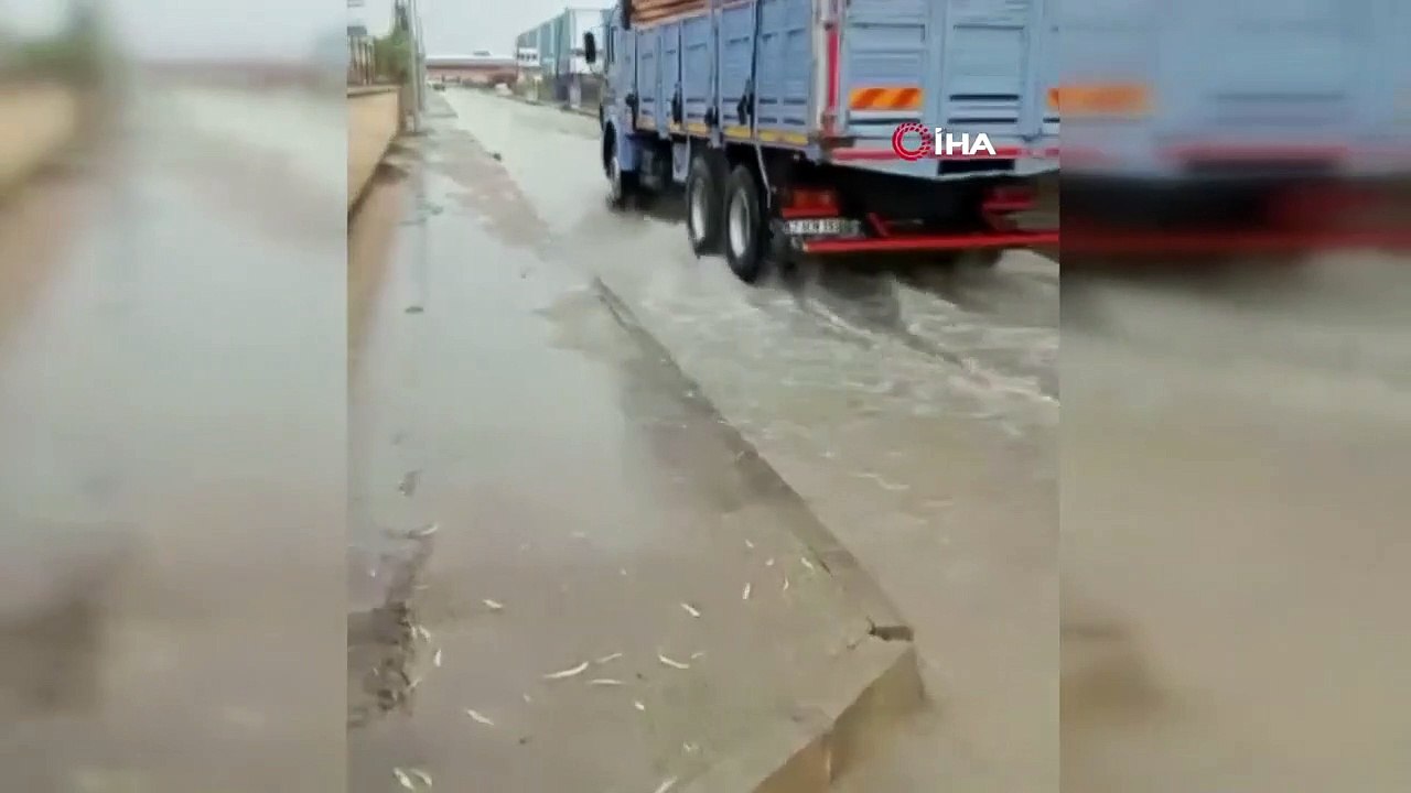 20 juin MÉTÉO： Va-t-il pleuvoir ce week-end？ Va-t-il pleuvoir cette semaine？ Prévisions météo !