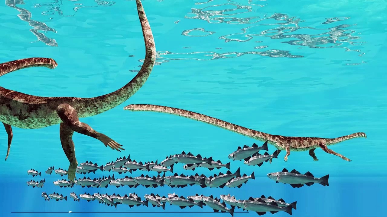 Cette morsure fossilisée révèle une terrible attaque de monstre des mers préhistorique