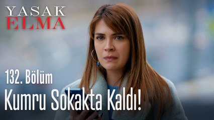Kumru sokakta kaldı! - Yasak Elma 132. Bölüm