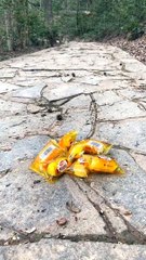 #fyp  Leave one for you to eat？#monkey#animalworld#pet#fyp