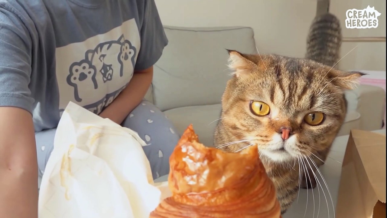 Eating Bread In Secret From DD (ENG SUB)