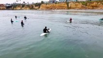 Baby seal climbs onto surfers's boards off California coast