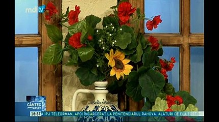 Doina Cernea - Unde-o fi tineretea (Cantec pentru suflet - MDI TV - 05.04.2015)