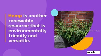 What Is Bamboo and Why Does It Make Great Underwear