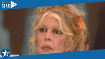 « Je n’étais pas assez mûre pour être mère » : Brigitte Bardot se confie sur une période de sa vie d