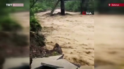 Sakarya'da selde mahsur kalan 9 kişi kurtarıldı