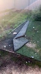 Dirty Doggy Dives Into Duvet