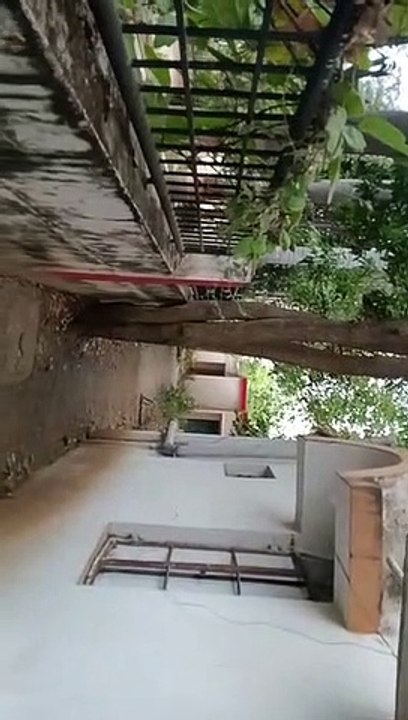 SP कार्यालय में निकल आया नाग- नागिन का जोड़ा