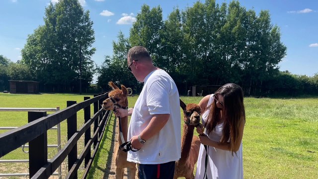 Butterwick Alpaca Retreat: Alpaca Farm in Malton, North Yorkshire