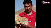 Gözlerinize inanamayacaksınız! Türkiye’de bulunan en büyük kafatası