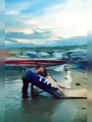 Top Fails of the Day | Wait for end | Shortvideo