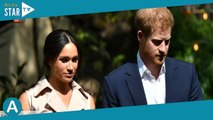 Harry et Meghan Markle : bientôt encore plus « dangereux » pour la famille royale ?