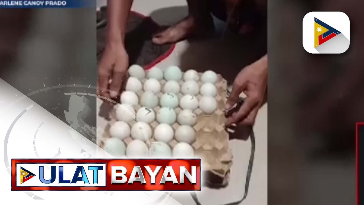 Balot na inuwi sa bahay, naging itik