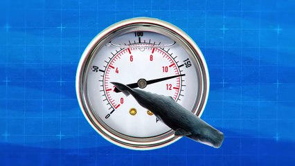 This Is Why No One Ever Sleeps in the Ocean