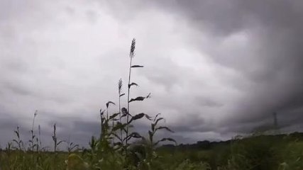 রথের দিন কিন্তু &#039;ম্যাজিক&#039; দেখাতে পারে আকাশ ! পূর্বাভাস শুনে সেইমত প্রস্তুতি নিন