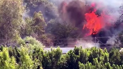 Antalya'da orman yangını başladı