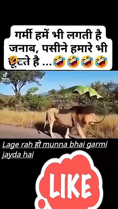 Very funny