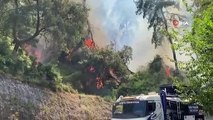 Antalya'da konteyner yangını ormanlık alana sıçradı