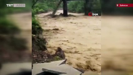 Sakarya'da selde mahsur kalan 9 kişi kurtarıldı