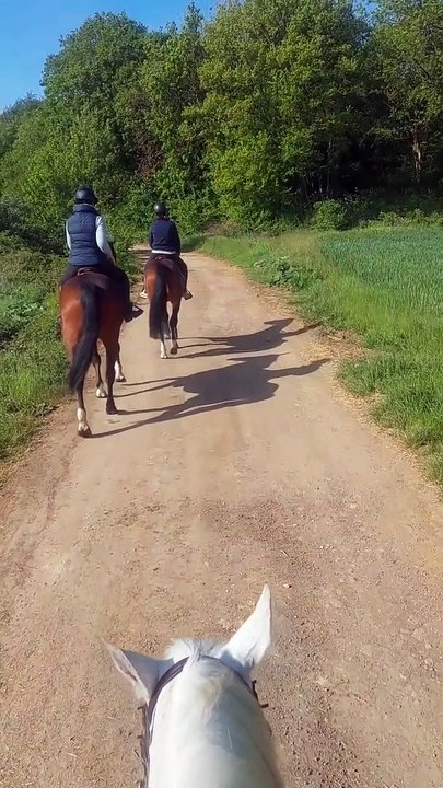 Dans Les Bottes D'un Cowboy - Randonnées équestres