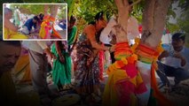 Marriage To Mango Trees... ఈ పెళ్లి చాలా Special గురూ..!!  | Telugu OneIndia