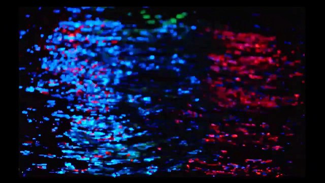 Der König, der niemals einer war Trailer OV