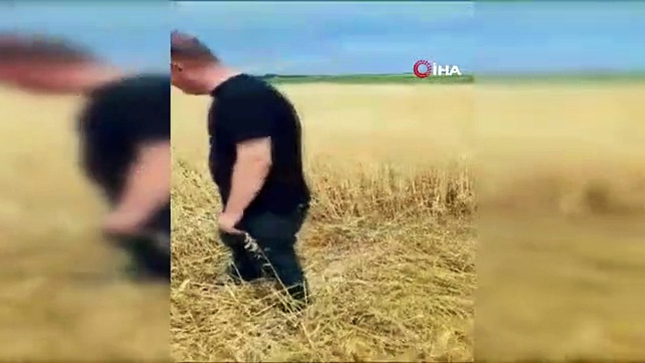 De fortes pluies et de la grêle ont endommagé les terres agricoles