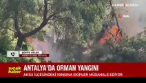 Antalya’da yerleşim yerlerine yakın alanda orman yangını