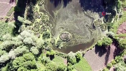 Les îlots flottants attendent d'être découverts