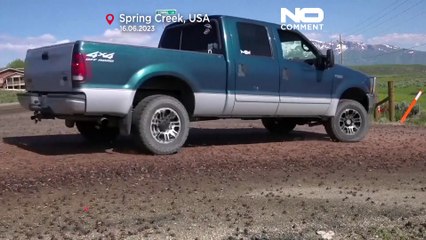 WATCH: Nevada confronts invasion of blood-red crickets