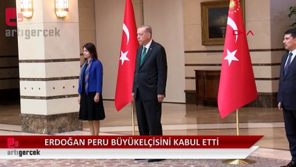 Peru Ankara Büyükelçisi Diaz, Cumhurbaşkanına güven mektubu sundu