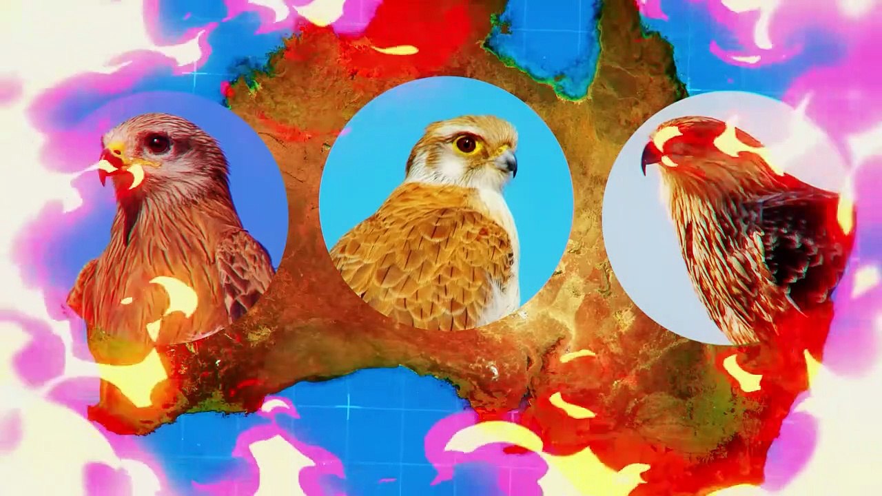 These Predators Don’t Use Force, But Use Mind