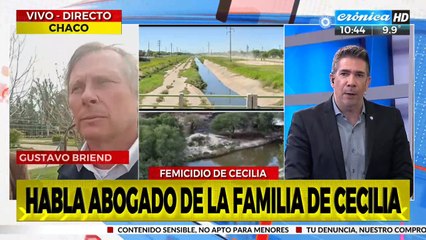 Abogado para Representación en Caso de Belu ⚖️