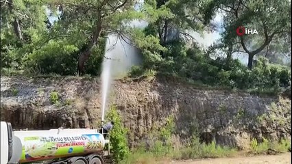 Antalya'daki orman yangını 1 saatte kontrol altına alındı