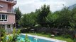 Countryside Resort in Manali, Apple orchard, Swimming pool , magnificent view of the Himalayas